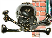 ˵