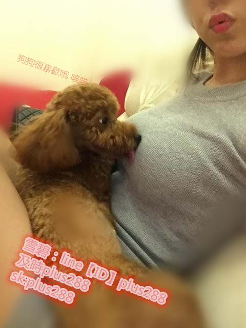 �˵����
