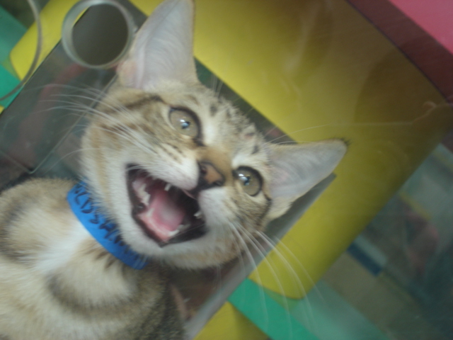˵