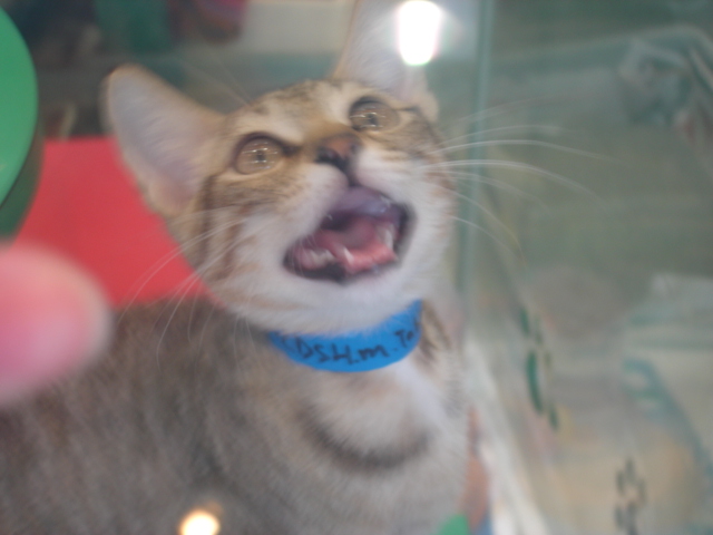 ˵