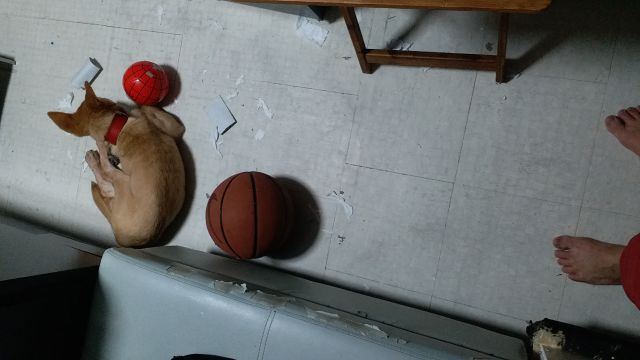 �˵����
