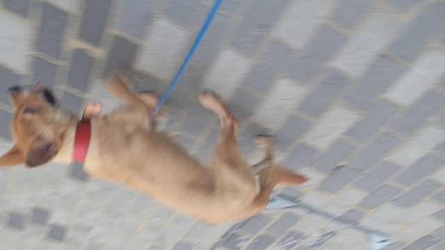 �˵����