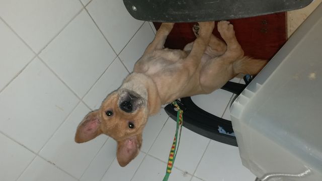 �˵����