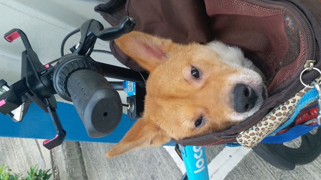 �˵����
