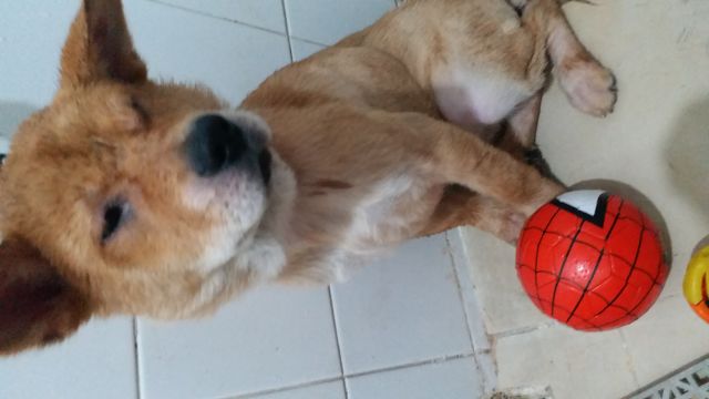 �˵����