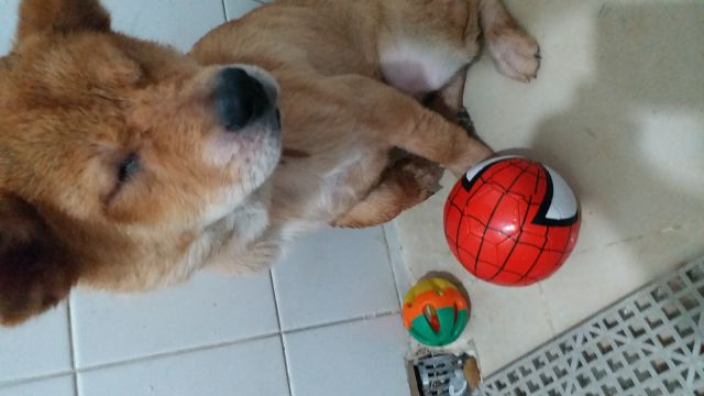 �˵����