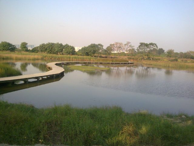 ˵