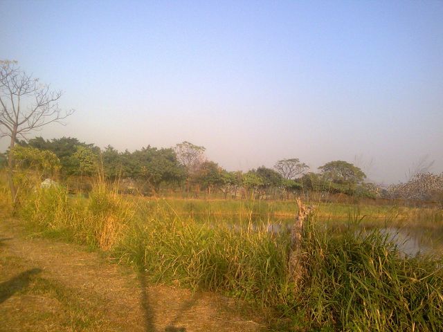 ˵