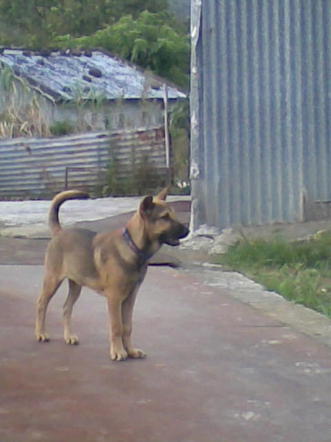 ˵
