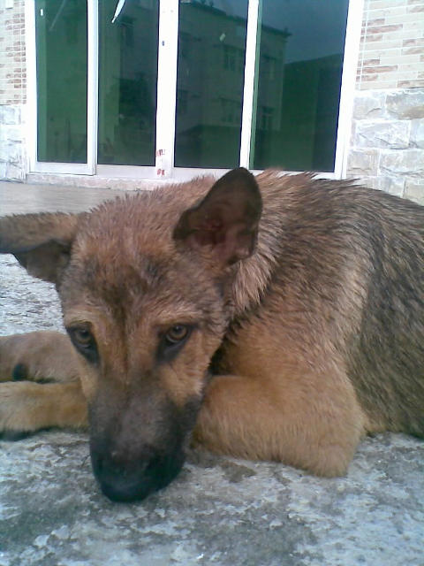˵