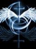 �Q�r�[