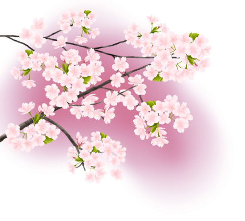 ˵
