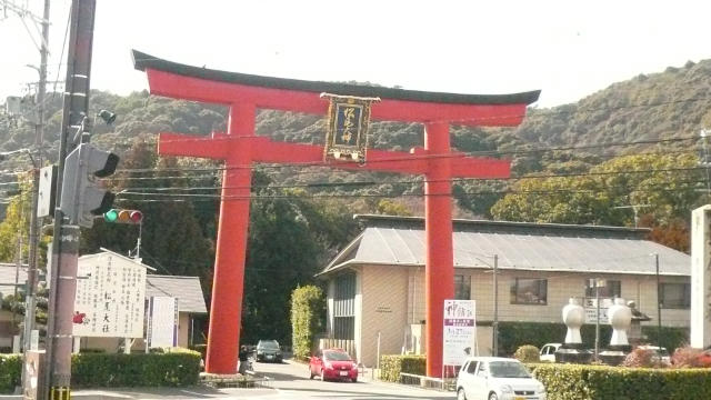 ˵