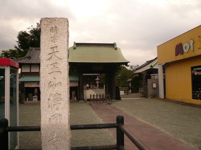 ˵