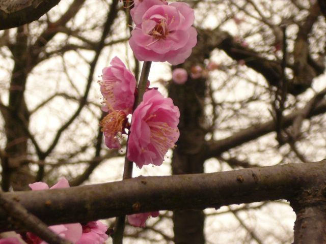 ˵