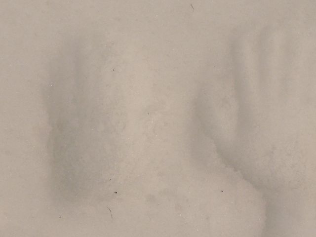 ˵