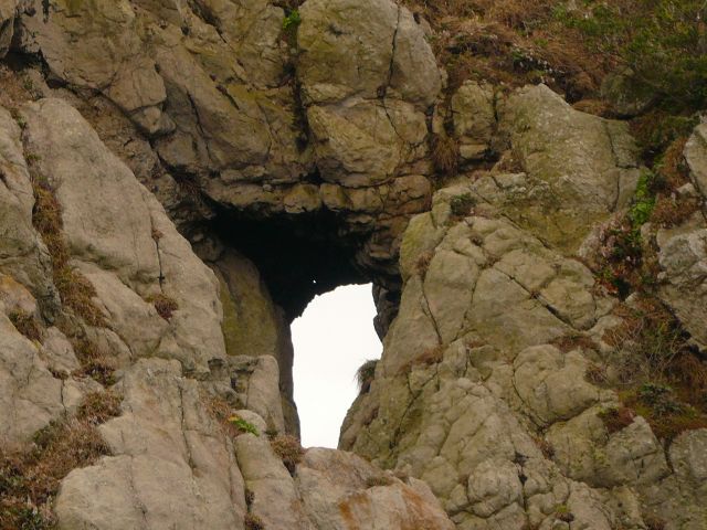 ˵