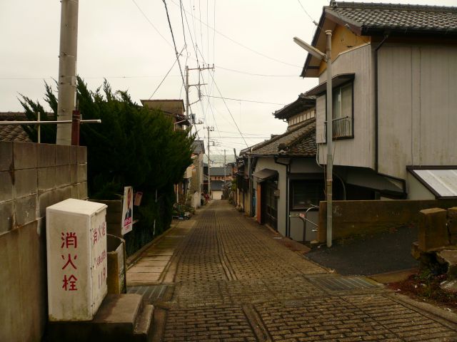 ˵