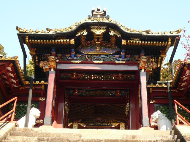 ˵