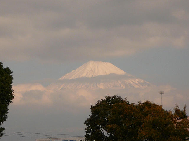 ˵