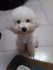�{�b��happy�J^^
