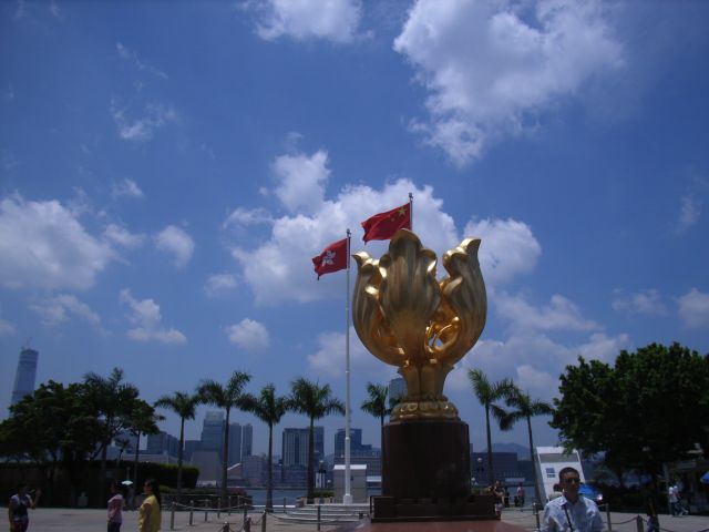 ˵