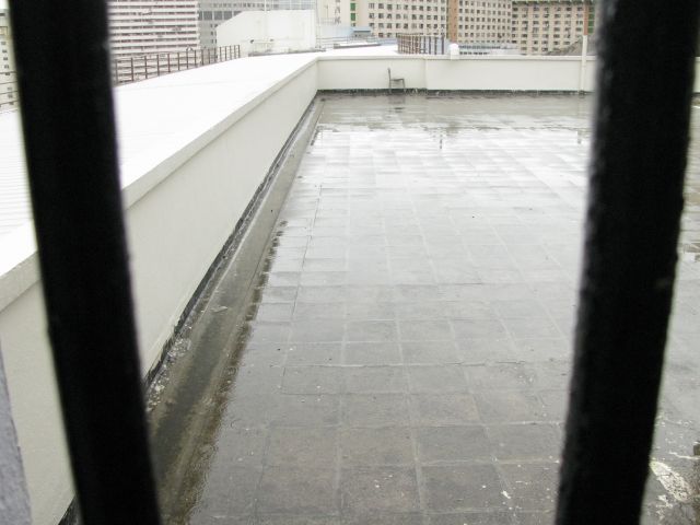 ˵