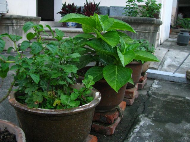 ˵