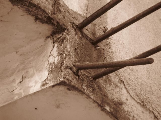 ˵