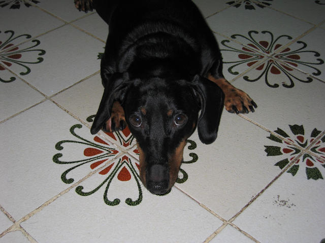 ˵