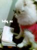 My pet ;-)