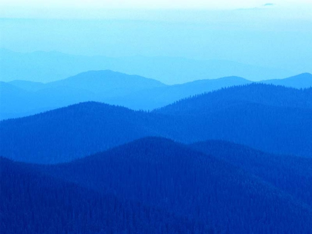 ˵