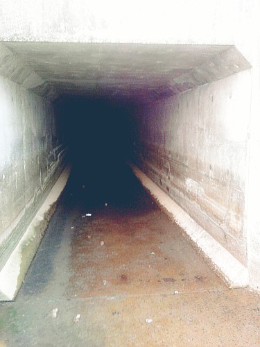 ˵