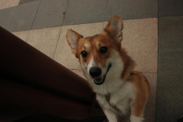 ˵