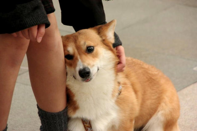 ˵