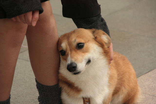 ˵