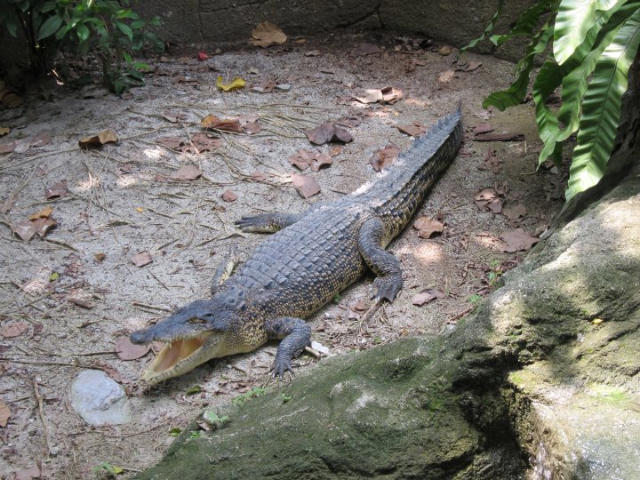 ˵