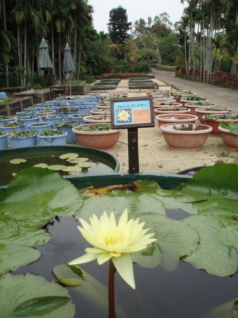 ˵