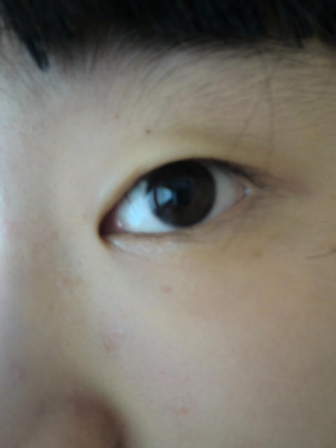 ˵