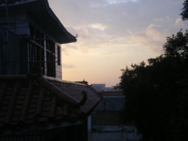 ˵