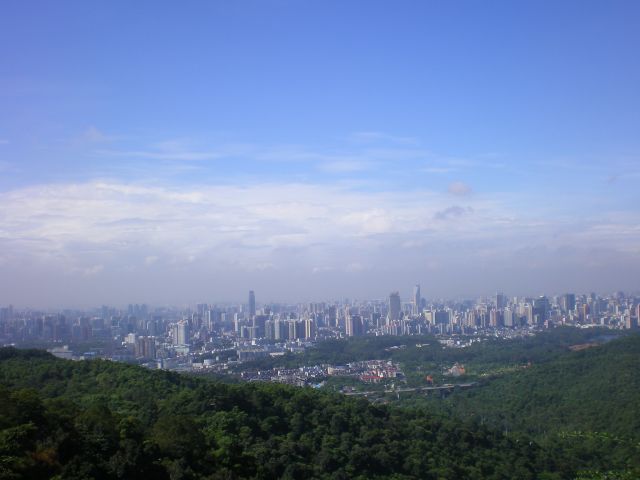 ˵