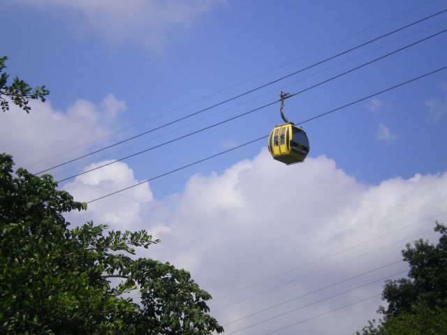 ˵