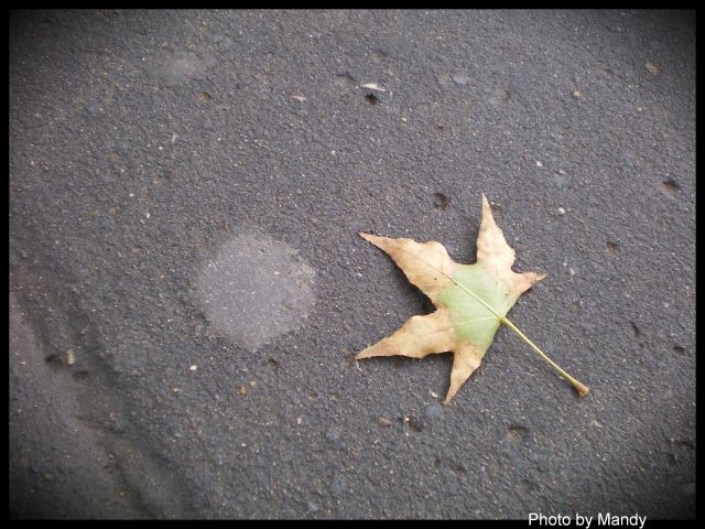 ˵