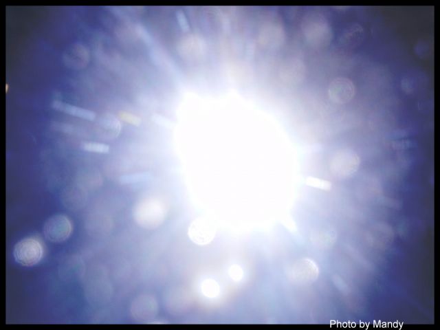 ˵