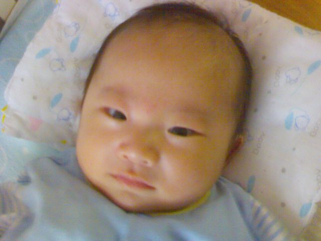 ˵
