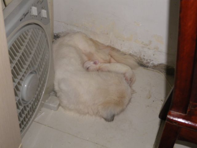 ˵