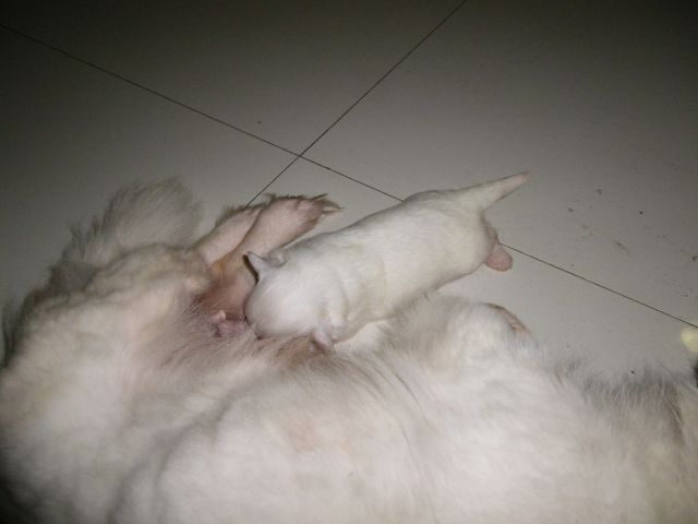 ˵