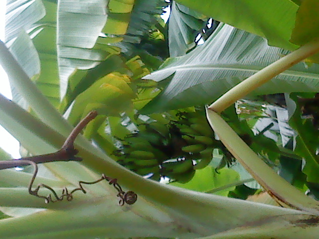 ˵