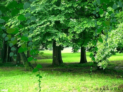 ˵