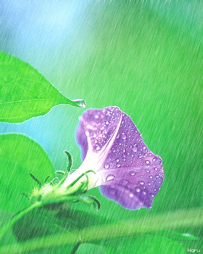 ˵